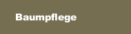  Baumpflege 