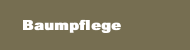  Baumpflege 